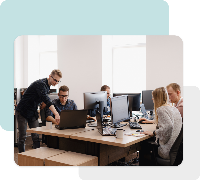 About Seaflux